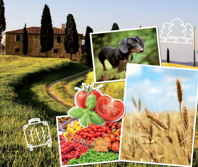 Il fruttivendolo di Campo de’ Fiori